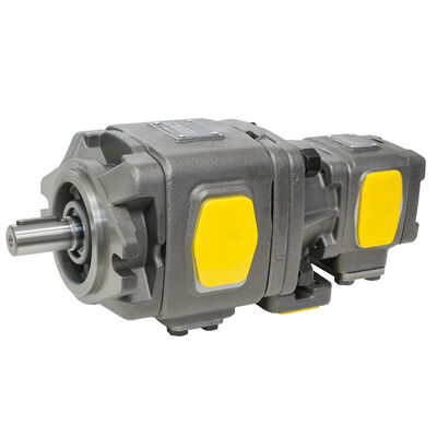 HG Series Double Gear Pump Hydraulic Internal Gear Pump HG10 HG11 HG21 HG22 5