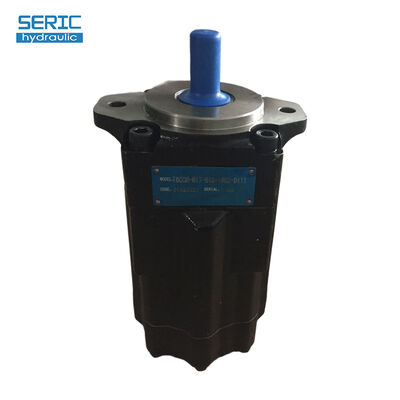 T6CCM Series Vane Pump 3