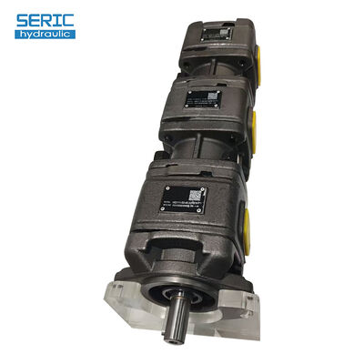 HG Series HG11 Hydraulic Double Gear Pump with High Quality Construction