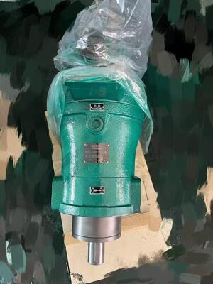 YCY Series Variable Displacement Axial Plunger Pump Fixed Displacement Piston Pump CY Series 108YCY14-1B